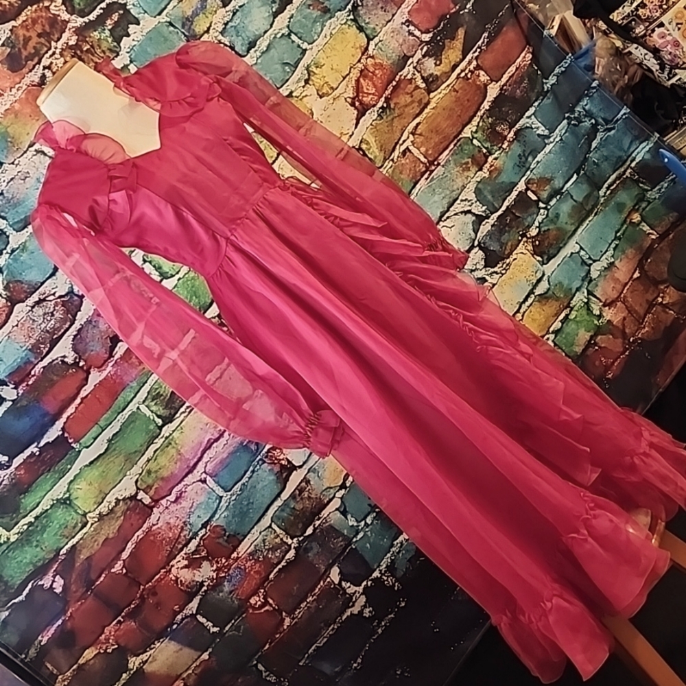 🔥Vintage Prom Dress Sheer Ruffle Sleeves AS IS